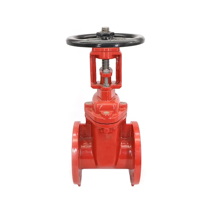 Awwa Inside Screw Rising Long Stem Flanged Gate Valve
