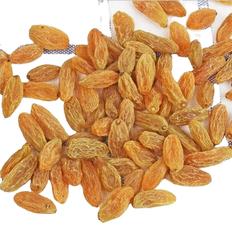 China industrial raisin jumbo gold raisins high quality