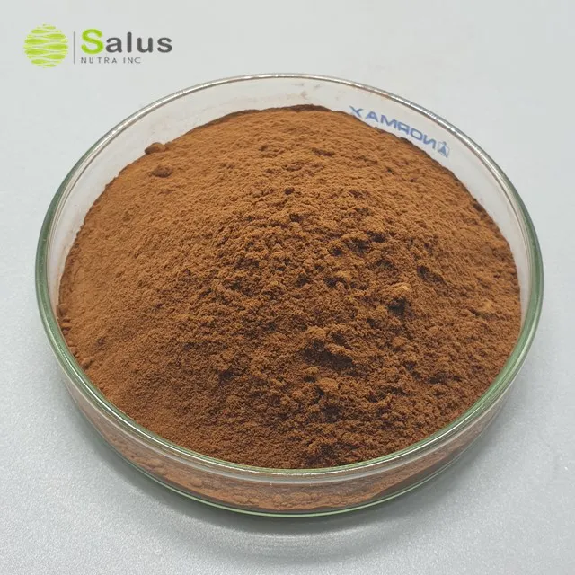 Top Quality Instant Black Tea Extract Powder