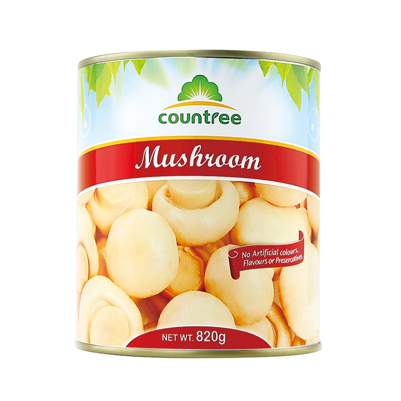 2020 High Quality New Crop Canned Champignon Mushroom With Wholesale Price