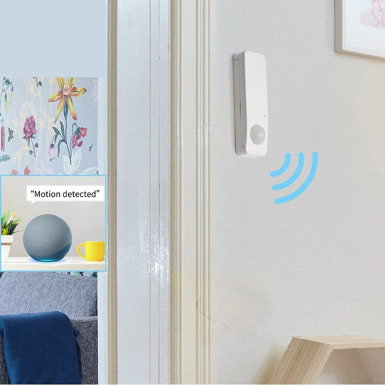 motion light sensor