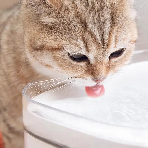 Xiaomi Mijia Smart Pet Water Dispenser 2L Automatic Silent Water Dispenser for Dogs, Cats, Pets Support APP Control