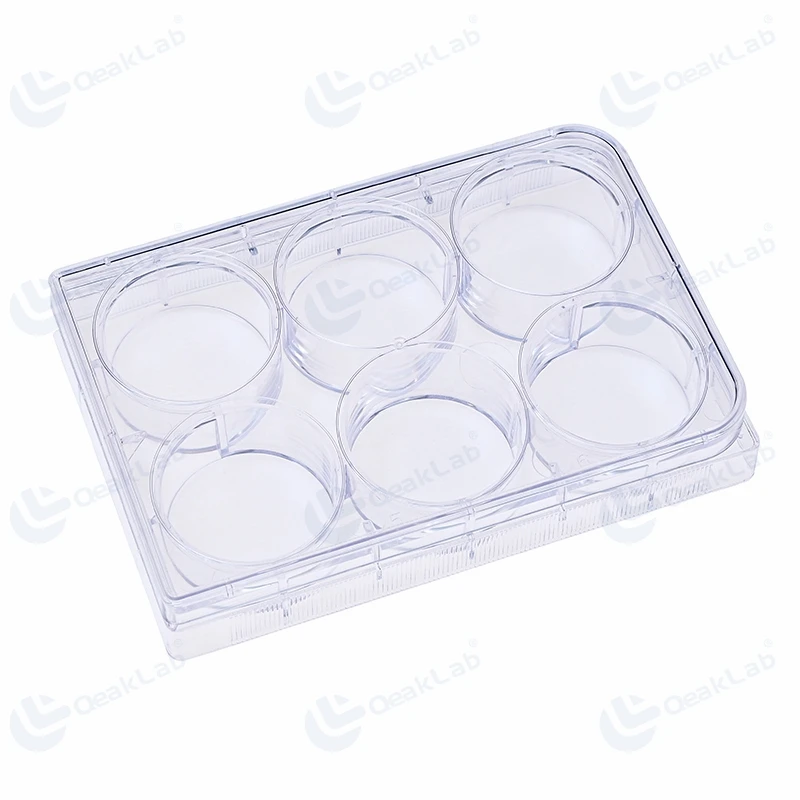 Stackable Petri Dish 100mm Sterilized for Cell Culture