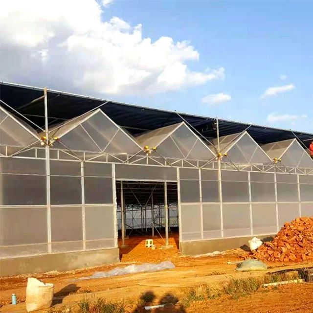 Large Multi-Span Film Greenhouse Agricultural Equipment for Hydroponic System