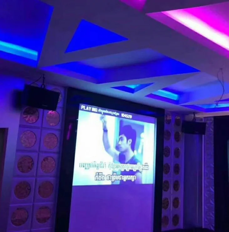 Acoustic Design Professional Speaker Unique Appearance High Density MDF 10 Inch 180W Speakers