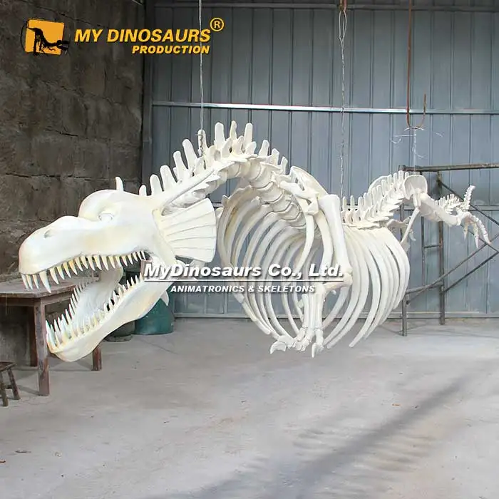 My Dino XJ295 Restaurant Ceiling Decoration Hanging Chinese Dragon Skeleton