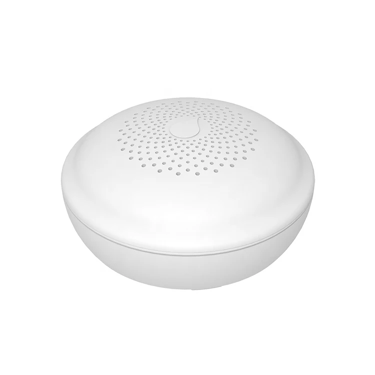 Manufacture wifi smart home combustible gas leak alarm detector with energizer L91AA lithium battery