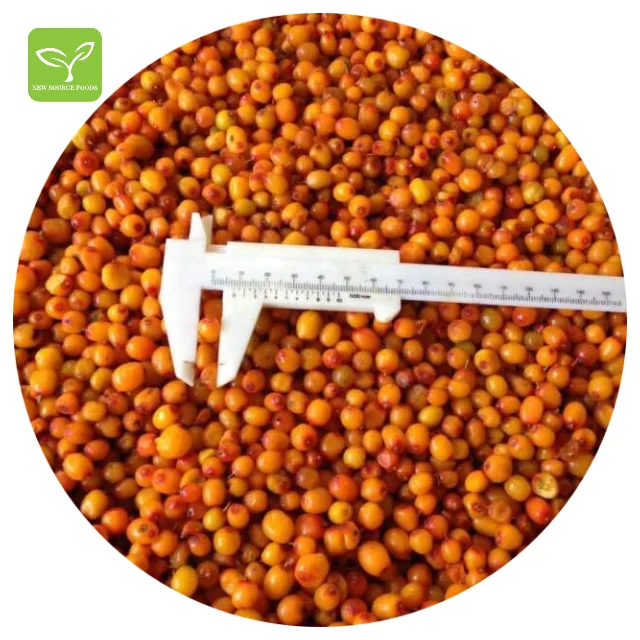 Berries Fruit Pulp Iqf Fresh Frozen Sea Buckthorn Price for wholesales in bulk