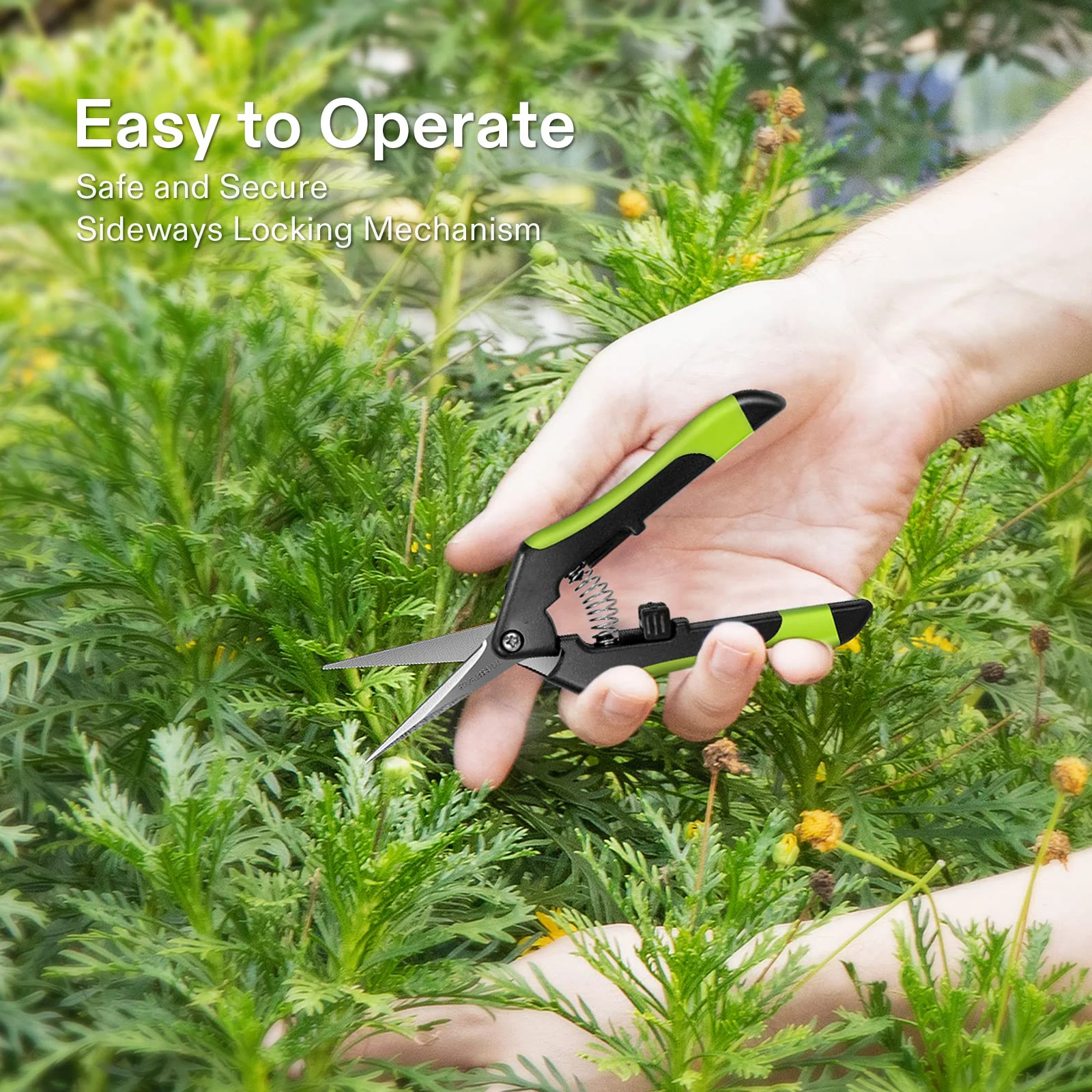 Promotional Price Spring Gardening Grape Curved Tree Bypass Professional Flower Garden Scissors Pruning Shears