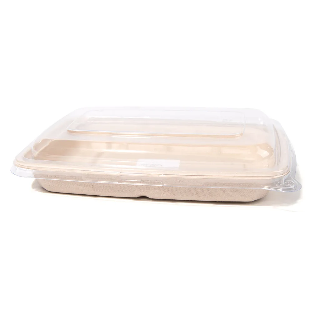 20 oz Disposable Food Container With Lid Biodegradable Bagasse BambooTableware Food Container For Restaurants and Party