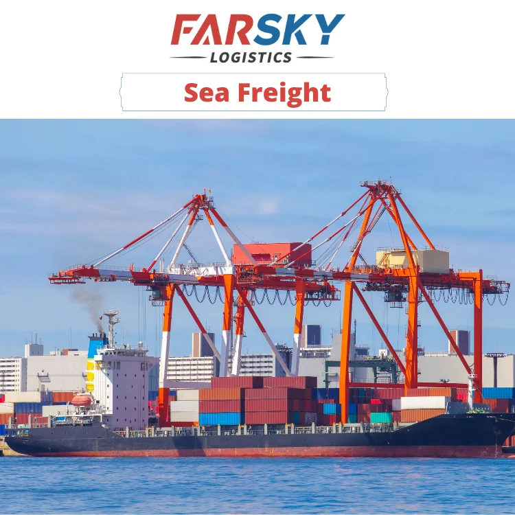 Ocean Freight Forwarder LCL To US Canada Europe Sea Shipping DDP DDU