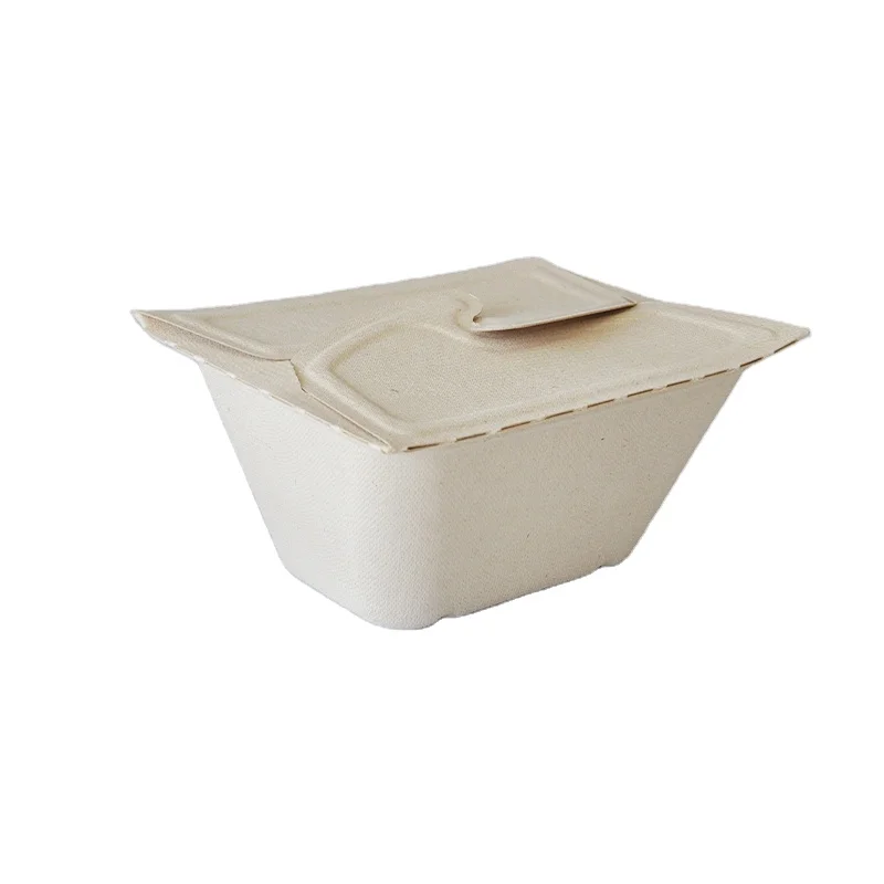 Microwave safe compostable takeout food packaging containers disposable sugarcane paper pulp lunch box