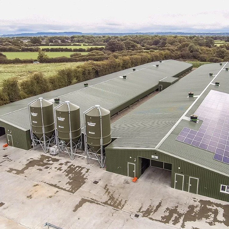 H Beam Steel Structure Poultry Farm Building Shed Chicken House In Pakistan