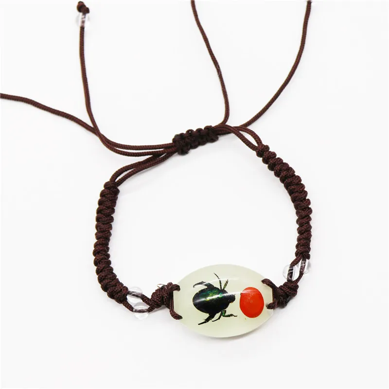 New Creative Insect Amber Knitted Bracelet Real Insect Scorpion Bracelet Insect Specimens Bracelet For Men