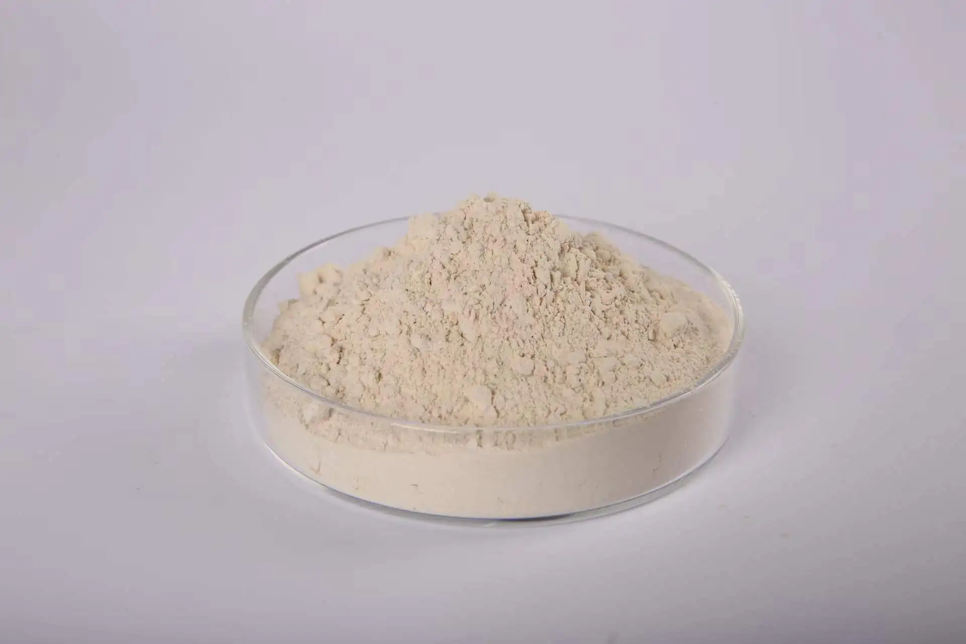 serrapeptase the inflammatory edema of rat skin caused by various pro-inflammatory