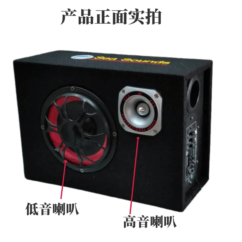 8 Inch Auto Audio Subwoofer Luidsprekers Met Microfoon Zingen Feature Ondersteuning Usb,Tf Card Draadloze Verbinding