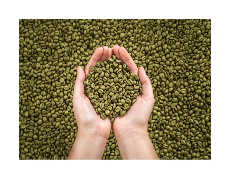 
Vietnam robusta roasted coffee beans - Green Coffee Export to EU, USA, Korea, Japan, UAE - Roasted Coffee at Cheap Price 