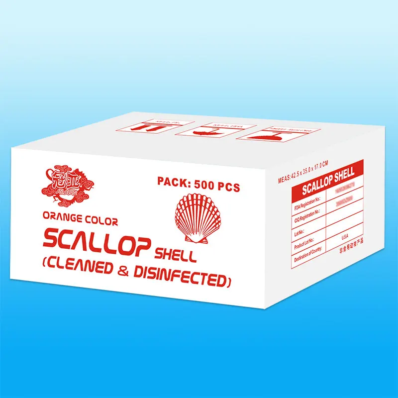 
Beautiful Varies Natural Raw Scallop Shells For Decoration Crafts 