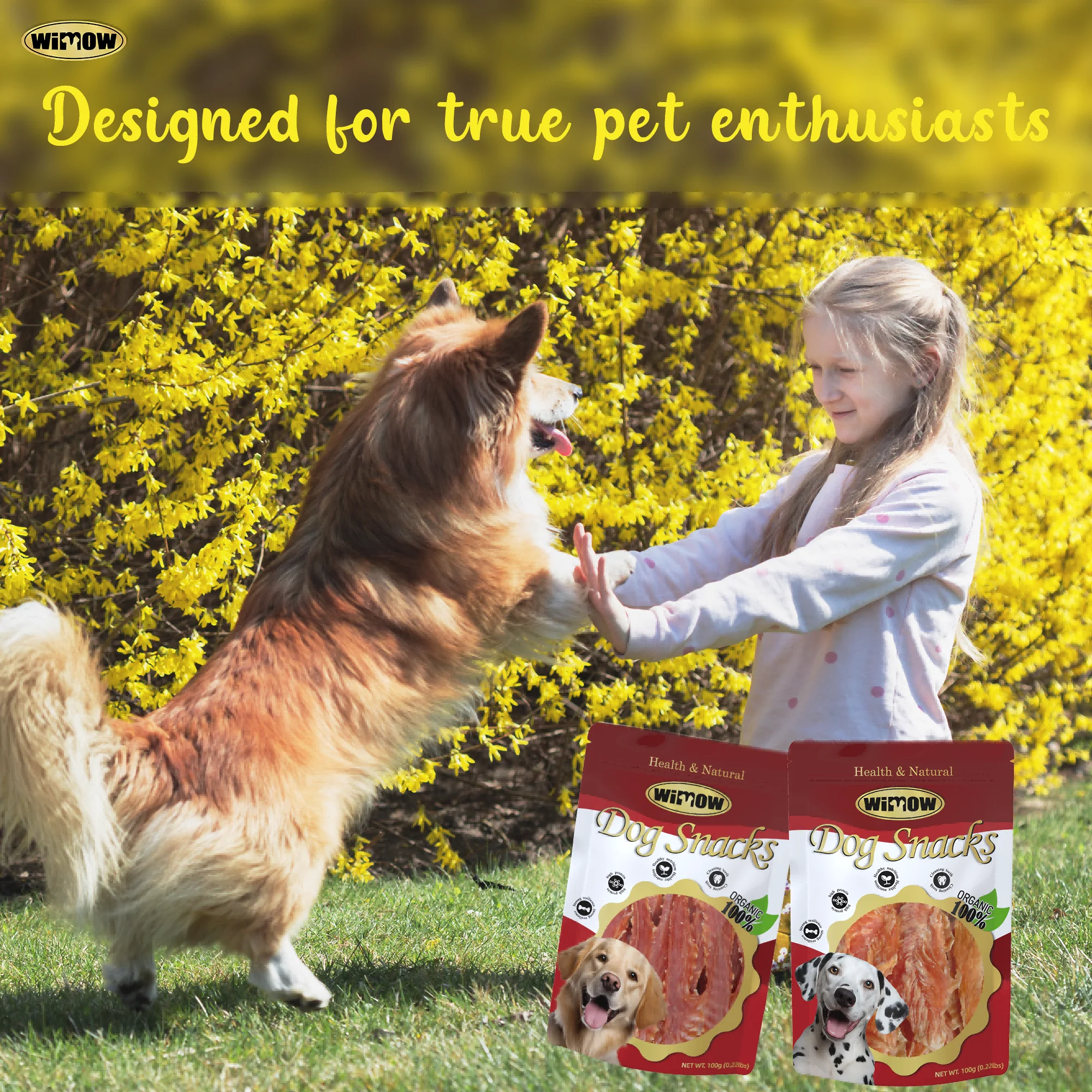 Dog Chew Food Stick Treat For Dog Customizable Hot Selling Natural Dog Dental Snacks Simulation Beef Pizzle Braided Bully Sticks