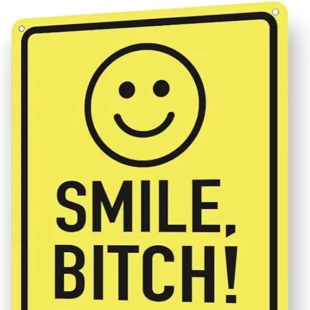 Securun Factory High-Quality  Hot Sales Funny  Security Camera Sign