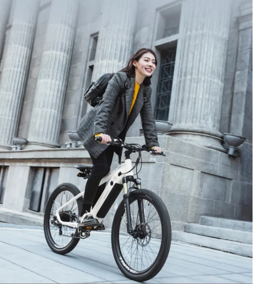 Cool Design HIMO C26 26 Inch Electric Bicycle 48V250W 25KM/h 60-100km Range 48V10Ah Lithium Battery Electric Bike