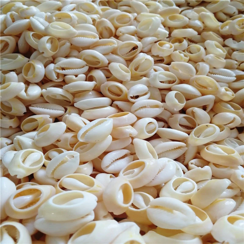 
Bohemia natural decorative jewelry accessories charms sea shell conch cowrie shells 