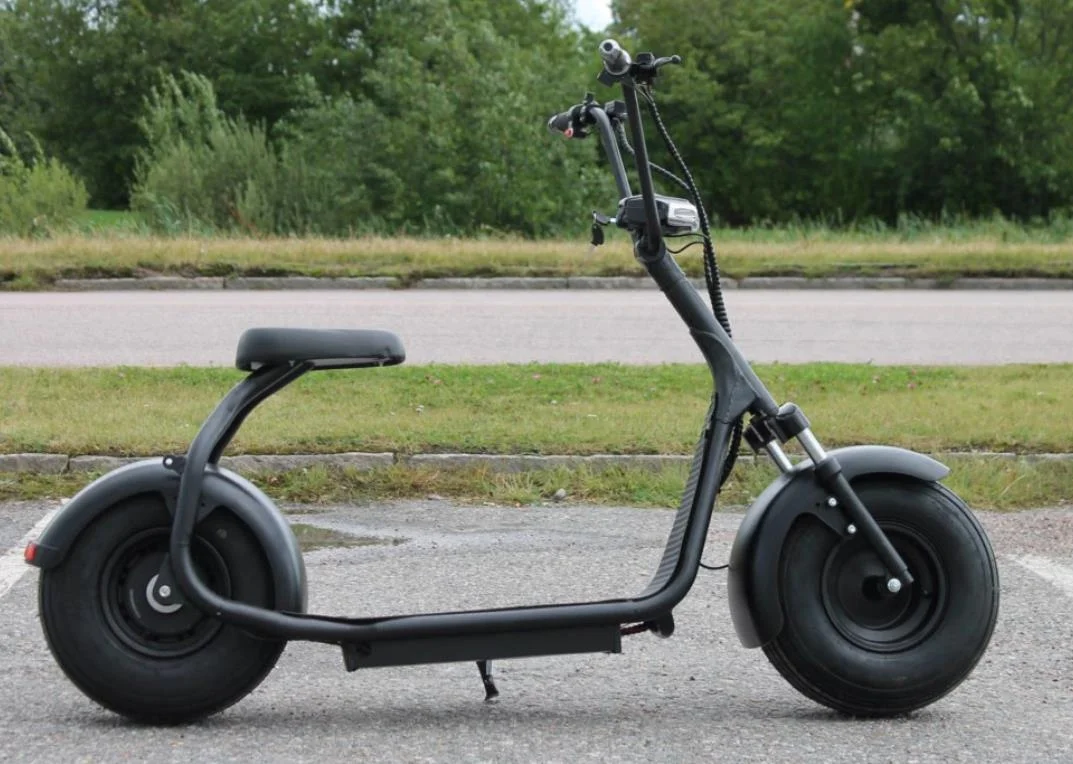 EEC Citycoco Electric Chopper 2000w 3000w Citycoco Electric Scooters