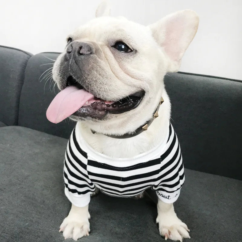 Spring and winter fashion embroider three family family dog clothing male and female parents kitten hoodie blue cat pet clothing
