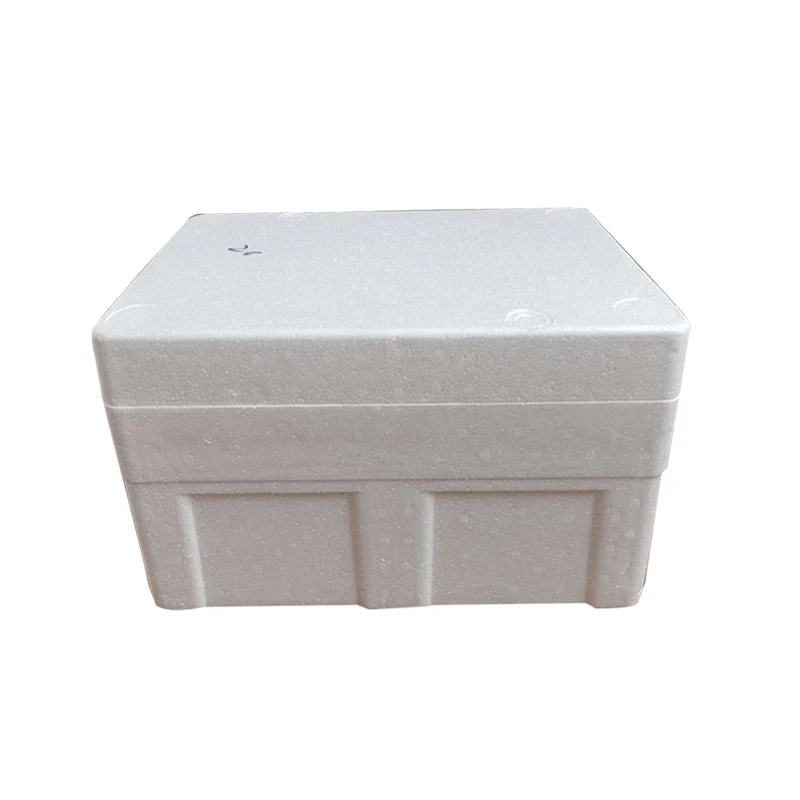 EPS Raw Material Foam Box for Heat Insulation for Fresh Food Transportation