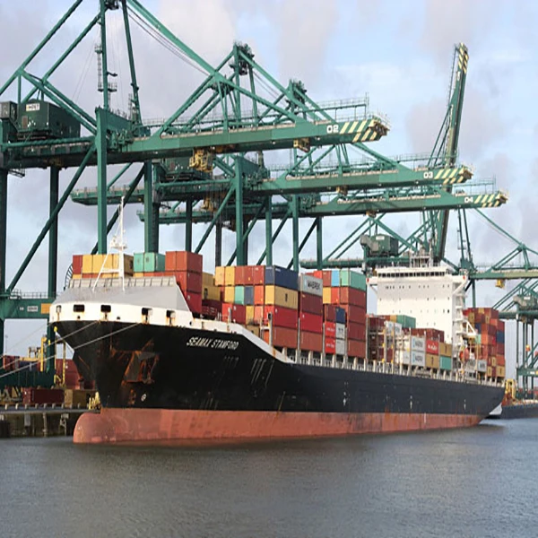 Shipping China To EL SALVADOR LCL 20gp 40hq FCL Sea Shipping SAN SALVADOR