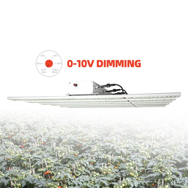 2ft 4ft lm301b lm301h indoor led grow lighting commercial growing full spectrum led grow light for Medical Farm
