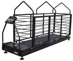 Dog Running Machine, Pet Treadmill, Animal Treadmill