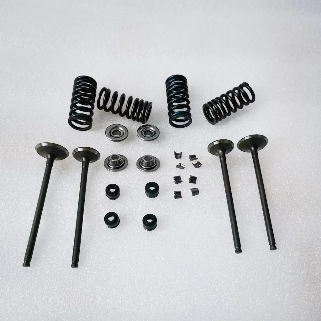 valves and spring kit for Daytona 190 or 212 4 valves engines