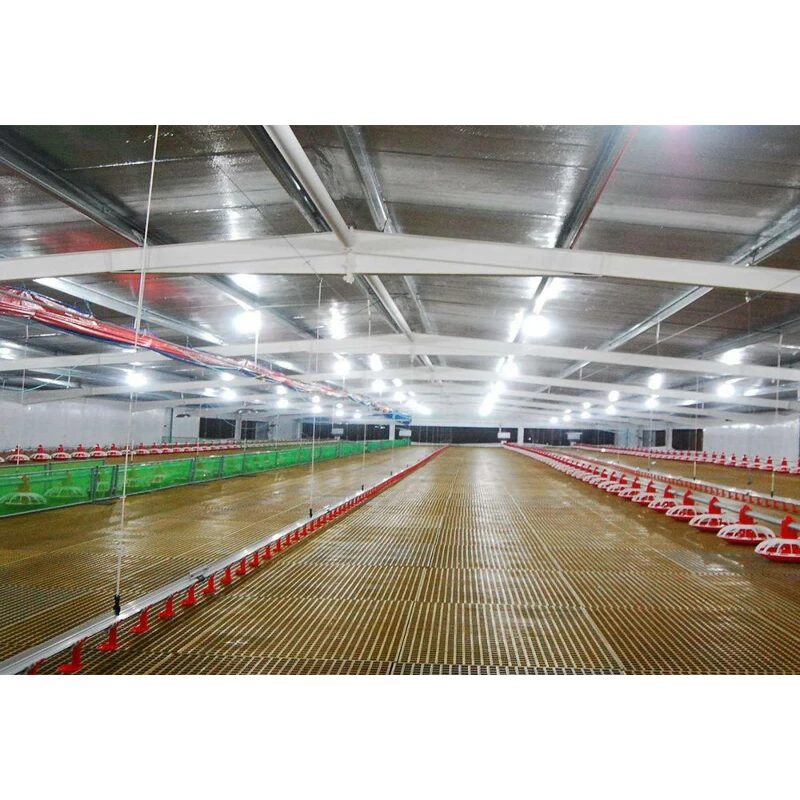 Autocad design steel poultry house fast construction steel chicken farming building