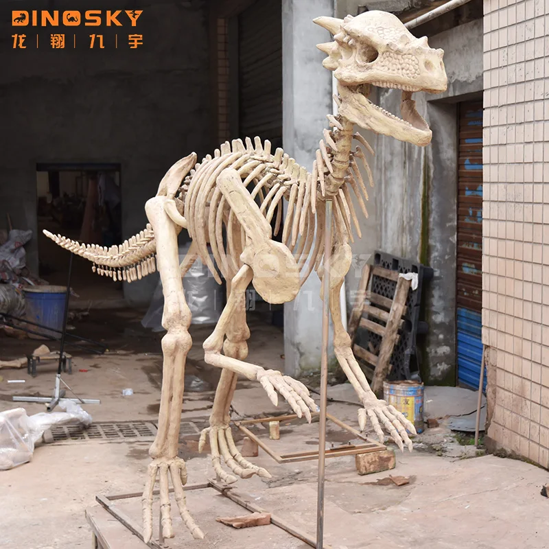 Artificial  Dinosaur bones dinosaur  skeleton fossil museum exhibition display