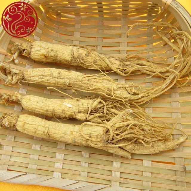 professional manufacture ginseng root Ren Shen