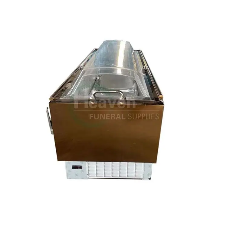 Chinese Brand Good Refrigeration Effect Crystal Ice Coffin Mortuary Freezer Refrigerator