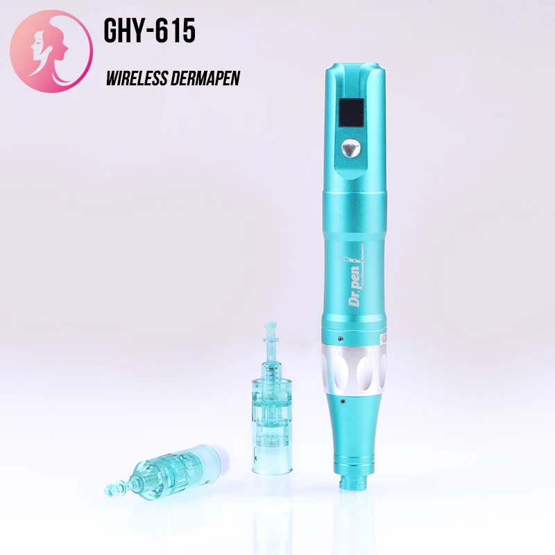 Customization Dermapen A6s with replacement battery Microneedle Therapy System Derma Pen with Display