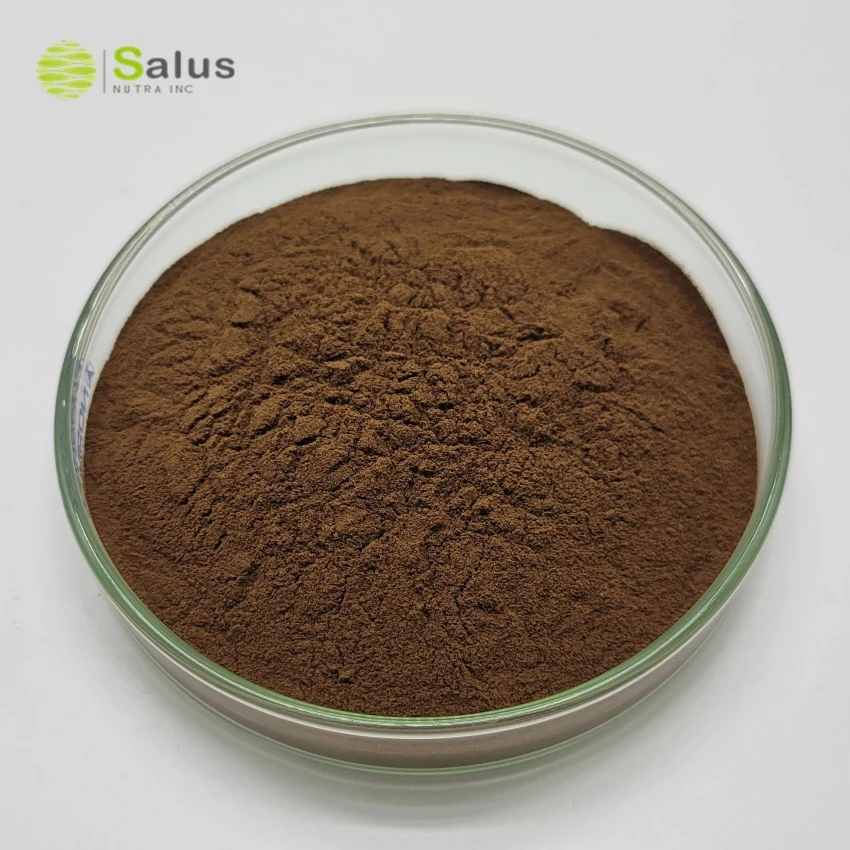 Заводская оптовая продажа OEM Private Label Reishi грибной кофе
