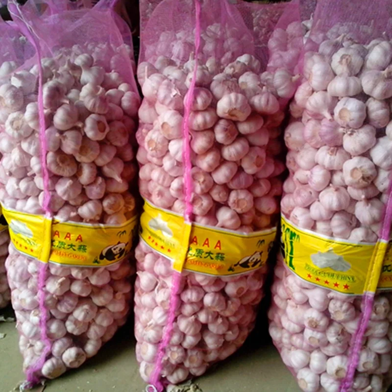 New Crop Factory Supplier Normal White And Pure White Garlic