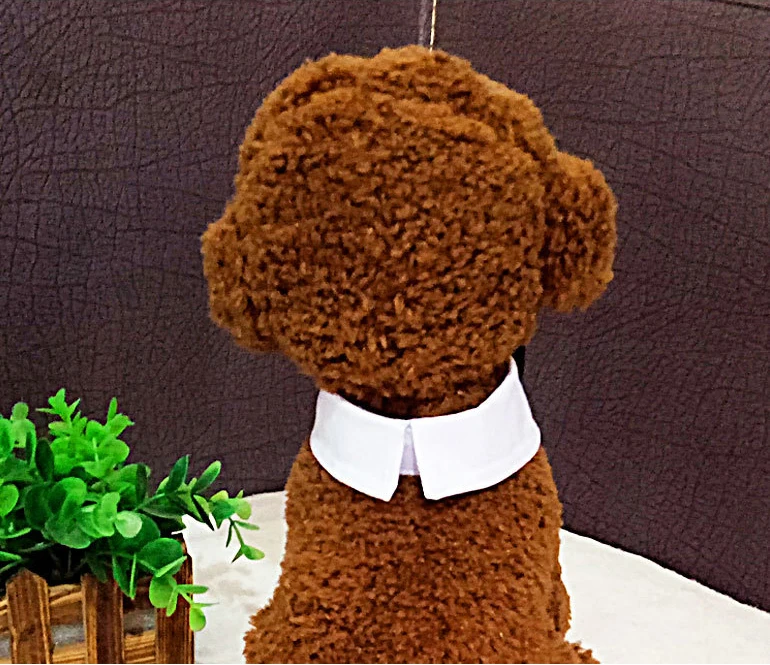 Регулируемый смокинг для домашних животных хлопковый ошейник галстук-бабочка собак кошек галстук среднего и большого размера