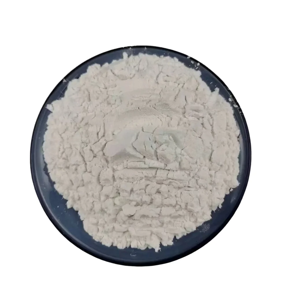 White Diatomite Powder Coating Diatomaceous Earth For Coatings Diatom Mud Art Wall Paint Grade Celite 545
