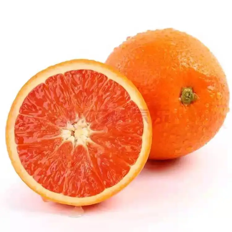 
Promotional Top Quality Blood Organic Fresh Orange Fruit 