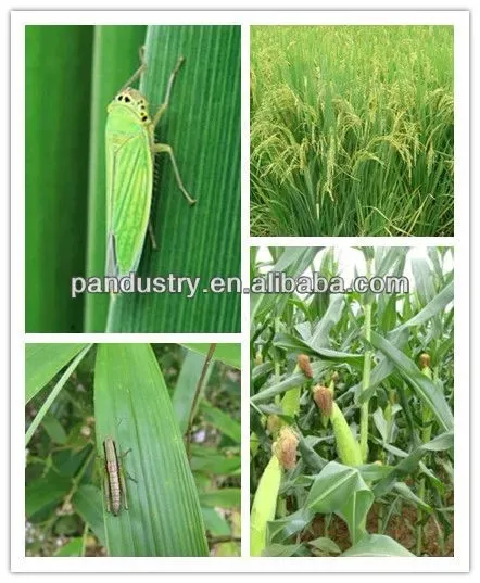 Effective Kill Insect Product Insecticide Clothianidin 50wdg Price