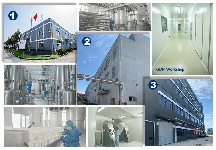 Collagen Type I fish collagen peptide powder fish collagen powder