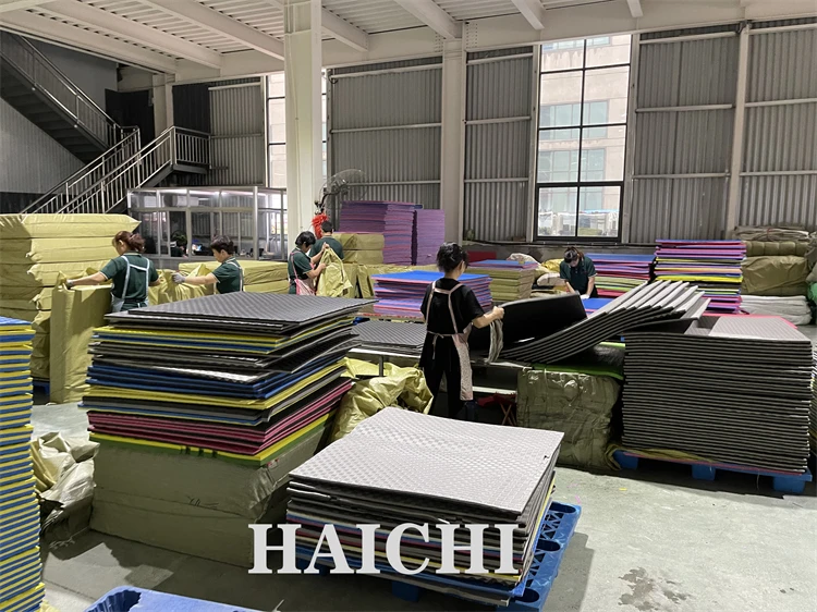 EVA PUZZLE MAT00003.jpg