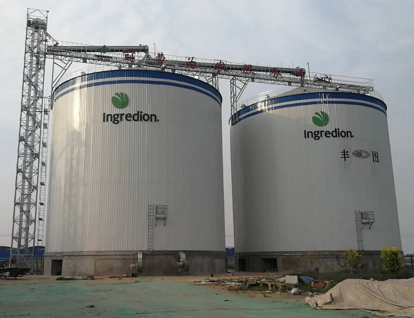 Used tank silo for wood pellet customized maize soya paddy wheat coffee bean grain bins