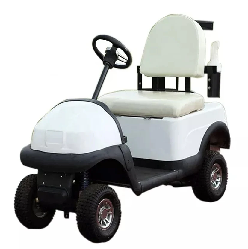 OT2806 newest hot sale cheap 2 seats gas powered golf /buggy carts price