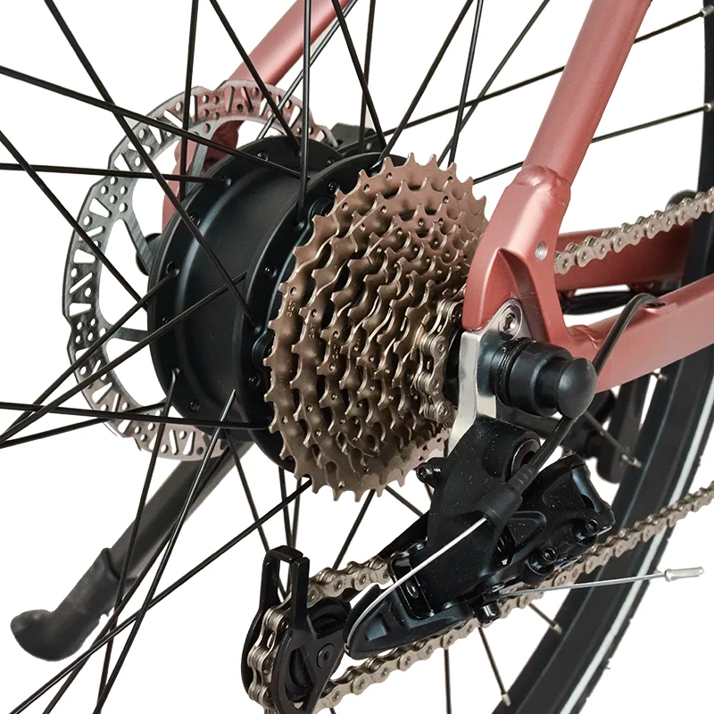 Powerful 250W Bafang Motor Electric Road Bicycle 36V Rear Hub 700c Aluminum Frame Tube Lithium Battery 100km Range Per Charge