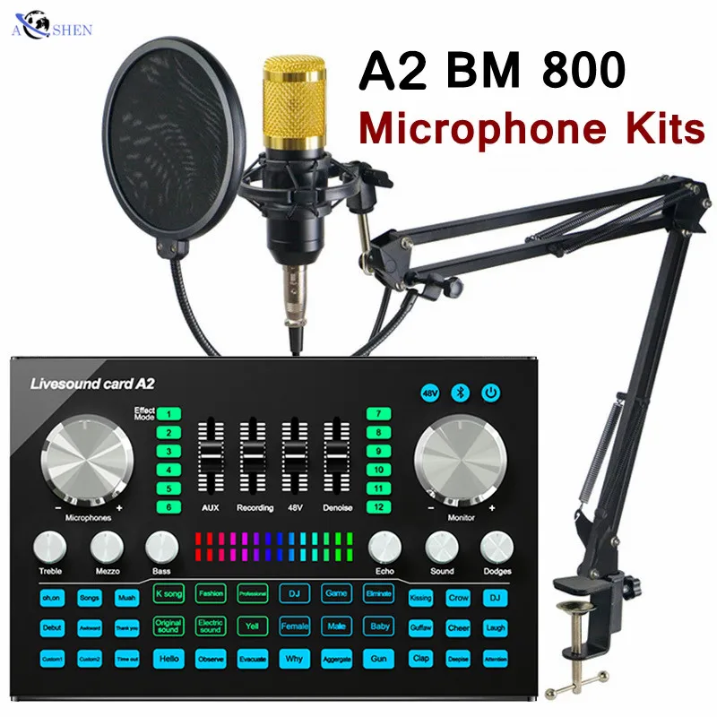 SOUND CARDD Microphone1.jpg